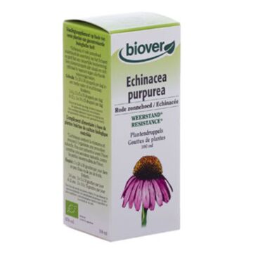 Echinacea Purpurea Biover