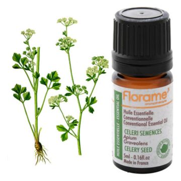 Céleri semence - Florame (Apium graveolens) - Huile essentielle