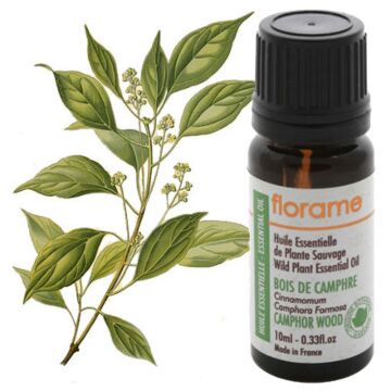 Bois de camphre - Florame (Cinnamomum camphora) - Huile essentielle
