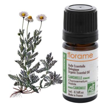 Camomille romaine Bio - Florame (Chamaemelum nobile)