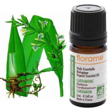 Cardamome Bio - Florame (Elettaria cardamomum) - Huile essentielle
