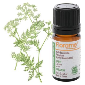 Carvi Bio - Florame (Carum carvi) - Huile essentielle