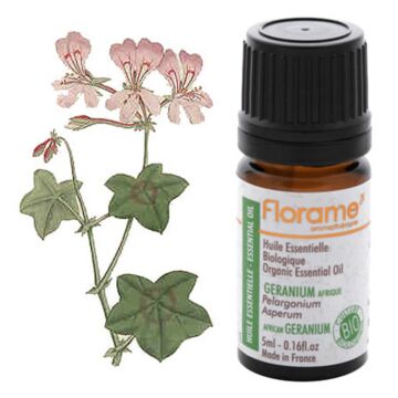 Géranium afrique Bio - Florame (Pelargonium asperum) - Huile essentielle