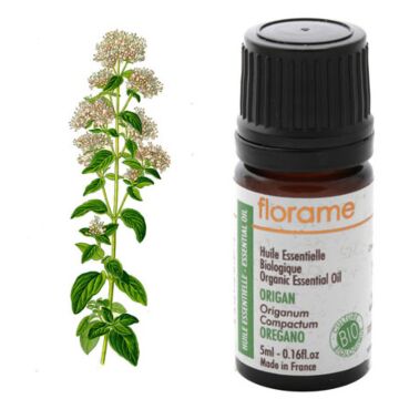 Origan du Maroc ou compact Bio -  Florame (Origanum compactum) - Huile essentielle