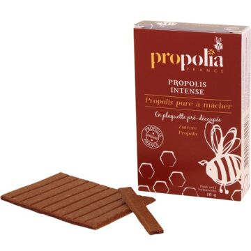 Propolis pure à macher - Propolia Apimab