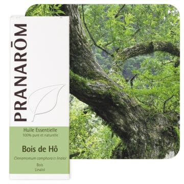 Bois de Hô (Cinnamomum camphora CT linalol) - Pranarôm - Huile essentielle