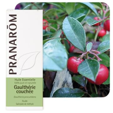 Gaulthérie couchée (Gaultheria procumbens) - Pranarôm - Huile essentielle
