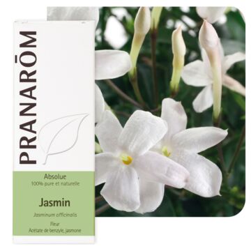 Jasmin Absolue (Jasminum officinale) - Pranarôm - Huile essentielle