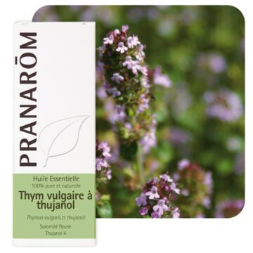 Thym à thujanol (Thymus thuyanoliferum) - Pranarôm - Huile essentielle
