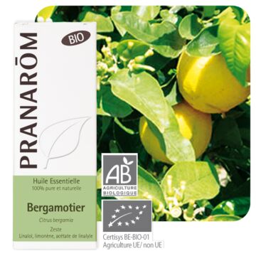 Bergamote Bio (citrus aurantium bergamia) - Pranarôm - huile essentielle
