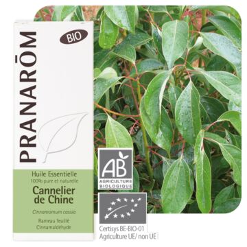 Cannelle de Chine Bio (cinnamomum cassia) - Pranarôm - huile essentielle