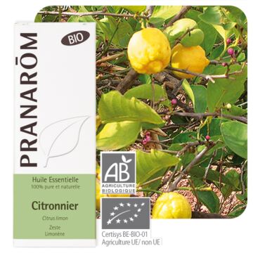 Citronnier Bio (Citrus limon) - Pranarôm - Huile essentielle