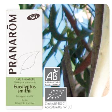 Eucalyptus smithii Bio (Eucalyptus Smithii) - Pranarôm - Huile essentielle