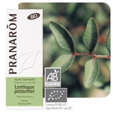 Lentisque pistachier Bio (Pistacia lentiscus) - Pranarôm - Huile essentielle