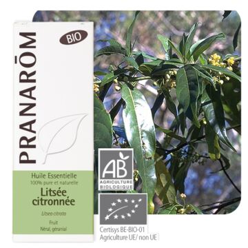 Litsée citronnée Bio (Litsea citrata) - Pranarôm - Huile essentielle