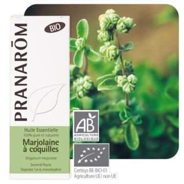 Marjolaine à coquille Bio (Origanum majorana) - Pranarôm - huile essentielle
