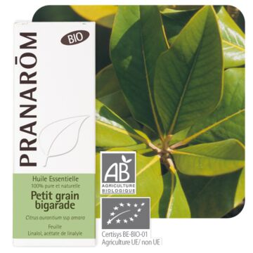 Petit grain bigarade Bio (Citrus aurantium) - Pranarôm - Huile essentielle