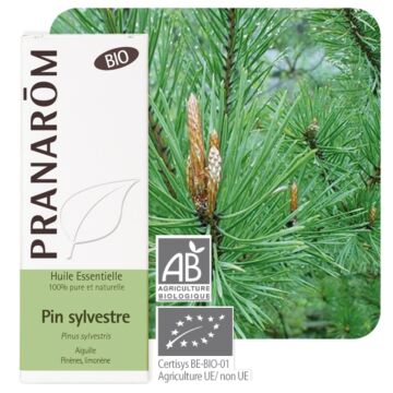 Pin sylvestre Bio (Pinus sylvestris) - Pranarôm