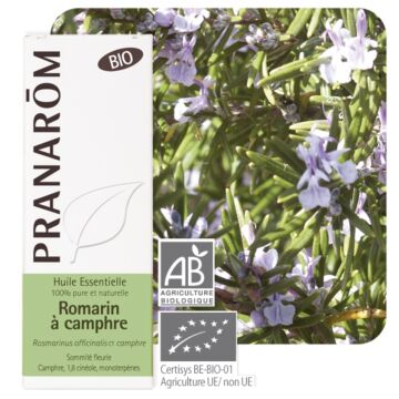 Romarin à camphre Bio (Rosmarinus officinalis) - Pranarôm - Huile essentielle