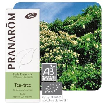 Tea Tree ou Arbre à thé Bio  - Pranarôm