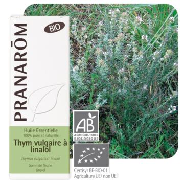 Thym à linalol Bio (Thymus vulgaris linalol) - Pranarôm - huile essentielle