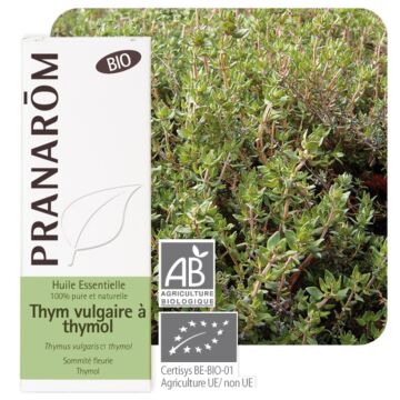 Thym à thymol Bio (Thymus vulgaris) - Pranarôm