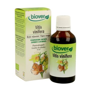 Teinture mère de Vigne rouge - Vitis vinifera Bio - Biover