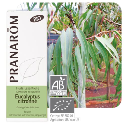 Pranarom - Huile Essentielle Eucalyptus Citronné BIO